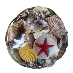 DOĞAL İTHAL DENİZ KABUĞU SEPETİ (L)