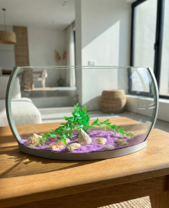 Gemini_Generated_Image_885hp9885hp9885h