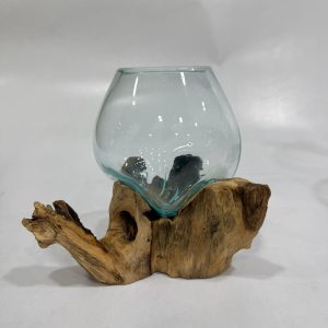 Dekoratif Doğal Kök Ahşap Üzeri Cam Mini Akvaryum